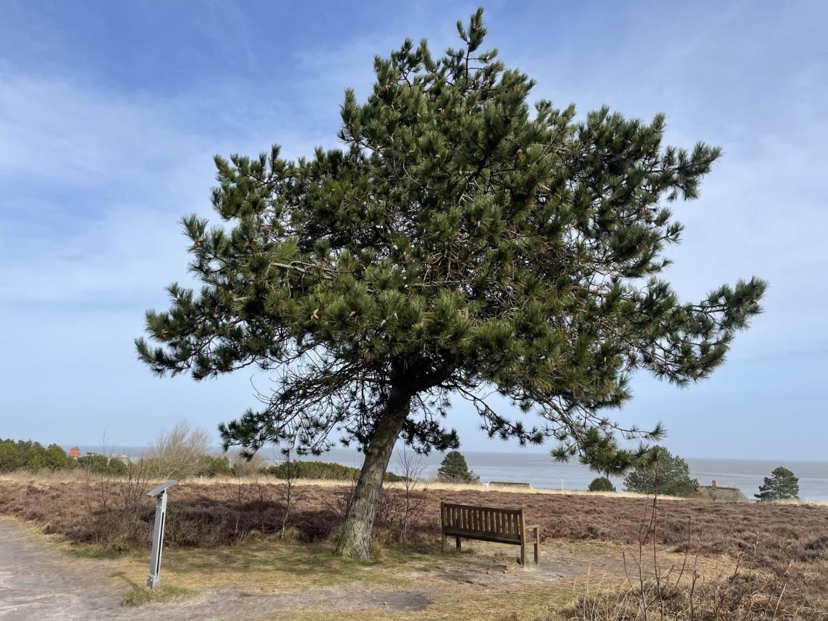 Apartamento Dünenrose Sylt Exterior foto